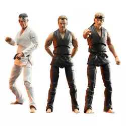 Cobra Kai Series 1 Set of 3...