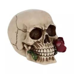 Rose From the Dead Skull...