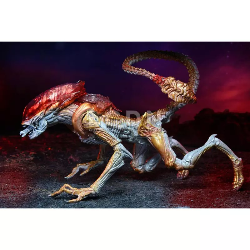 Aliens Action Figurine Panther Alien (Kenner Tribute) 23cm