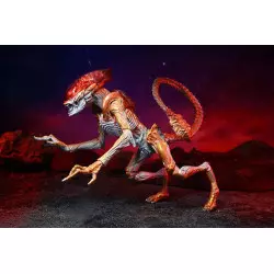 Aliens Action Figurine Panther Alien (Kenner Tribute) 23cm