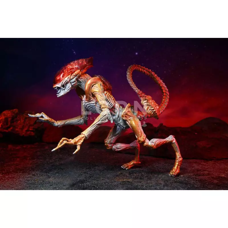 Aliens Action Figurine Panther Alien (Kenner Tribute) 23cm