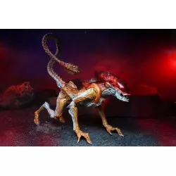 Aliens Action Figurine Panther Alien (Kenner Tribute) 23cm