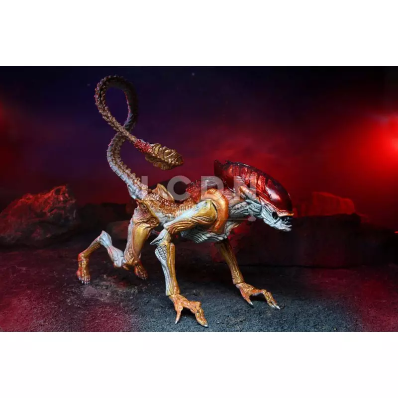Aliens Action Figurine Panther Alien (Kenner Tribute) 23cm