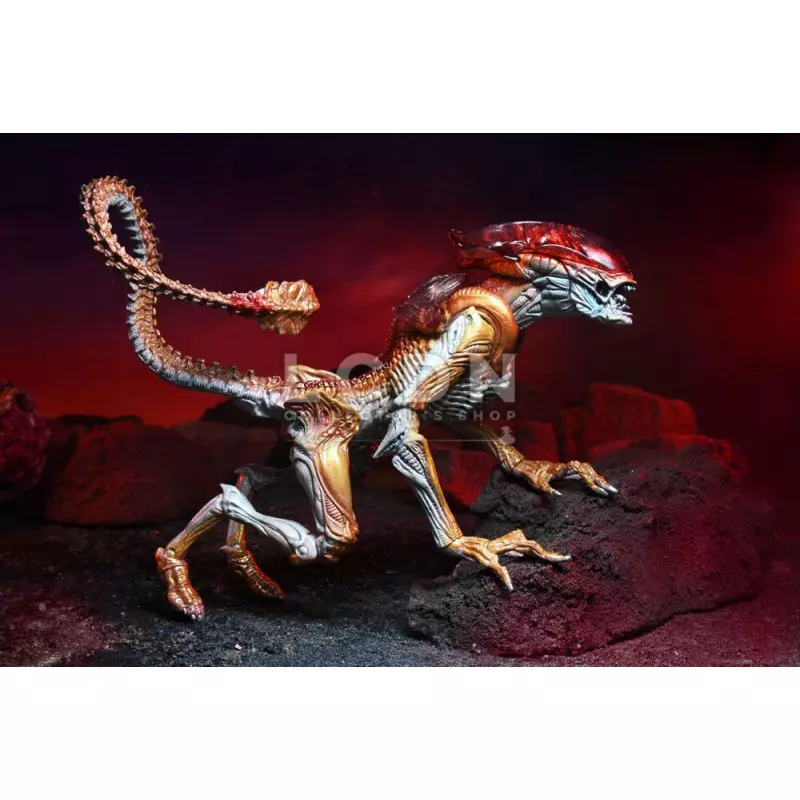 Aliens Action Figurine Panther Alien (Kenner Tribute) 23cm