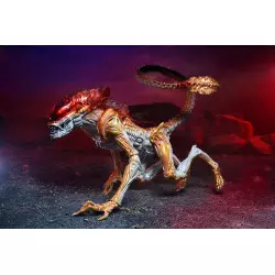Aliens Action Figurine Panther Alien (Kenner Tribute) 23cm