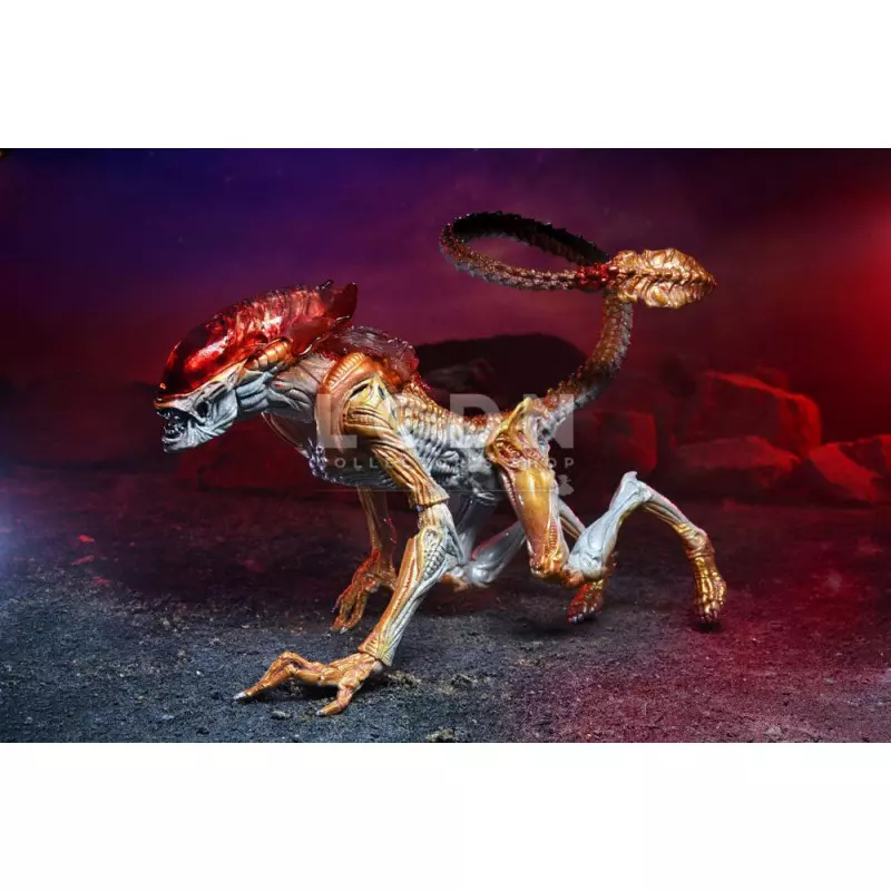 Aliens Action Figurine Panther Alien (Kenner Tribute) 23cm