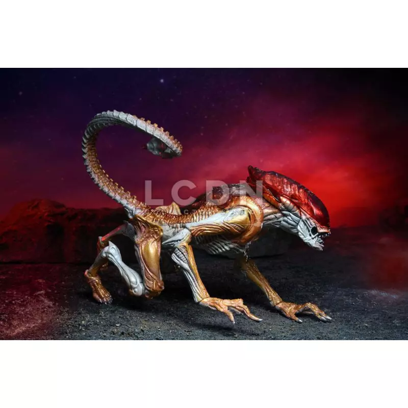Aliens Action Figurine Panther Alien (Kenner Tribute) 23cm