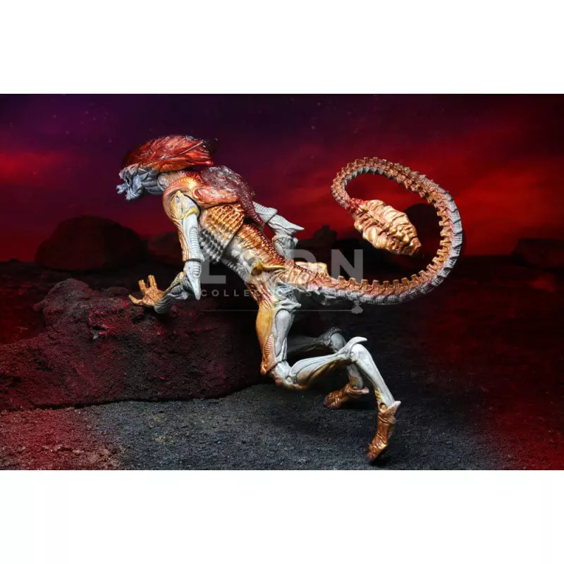 Aliens Action Figurine Panther Alien (Kenner Tribute) 23cm