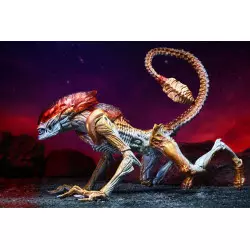 Aliens Action Figurine Panther Alien (Kenner Tribute) 23cm