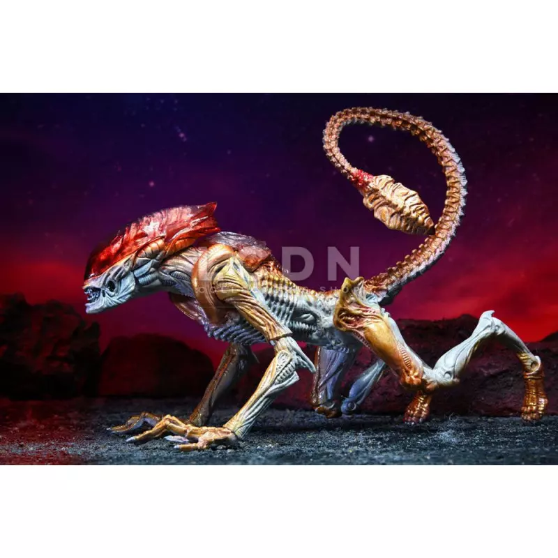 Aliens Action Figurine Panther Alien (Kenner Tribute) 23cm