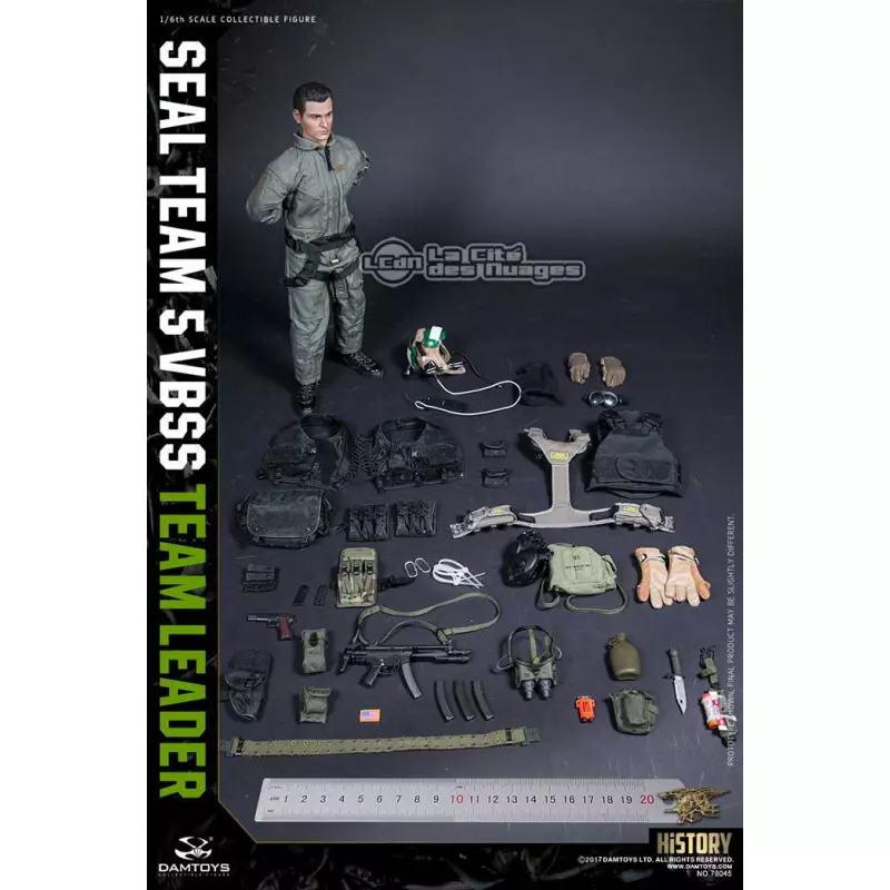 Seal Team 5 VBSS Team Leader DAMTOYS 78045 1/6 Figure 30cm