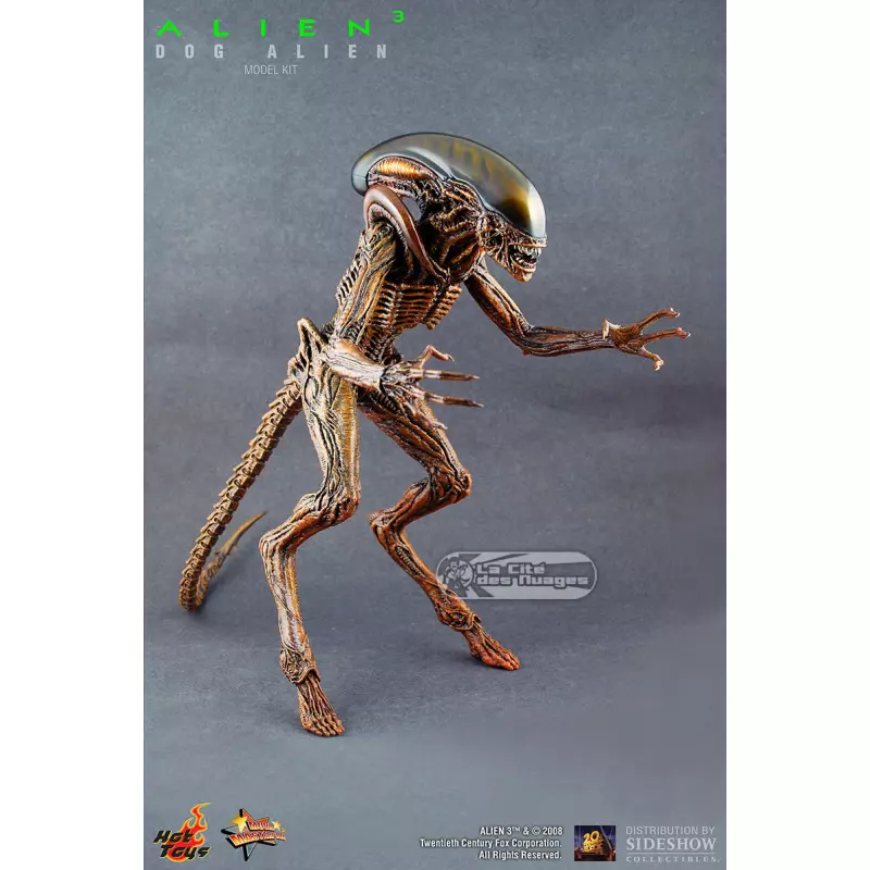 Hot Toys MMS77 Alien 3 Dog Alien 16