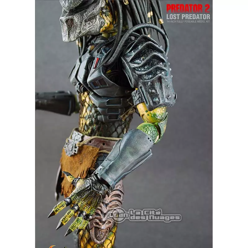 Lost predator best sale