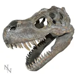 Tyrannosaurus Rex Statue...