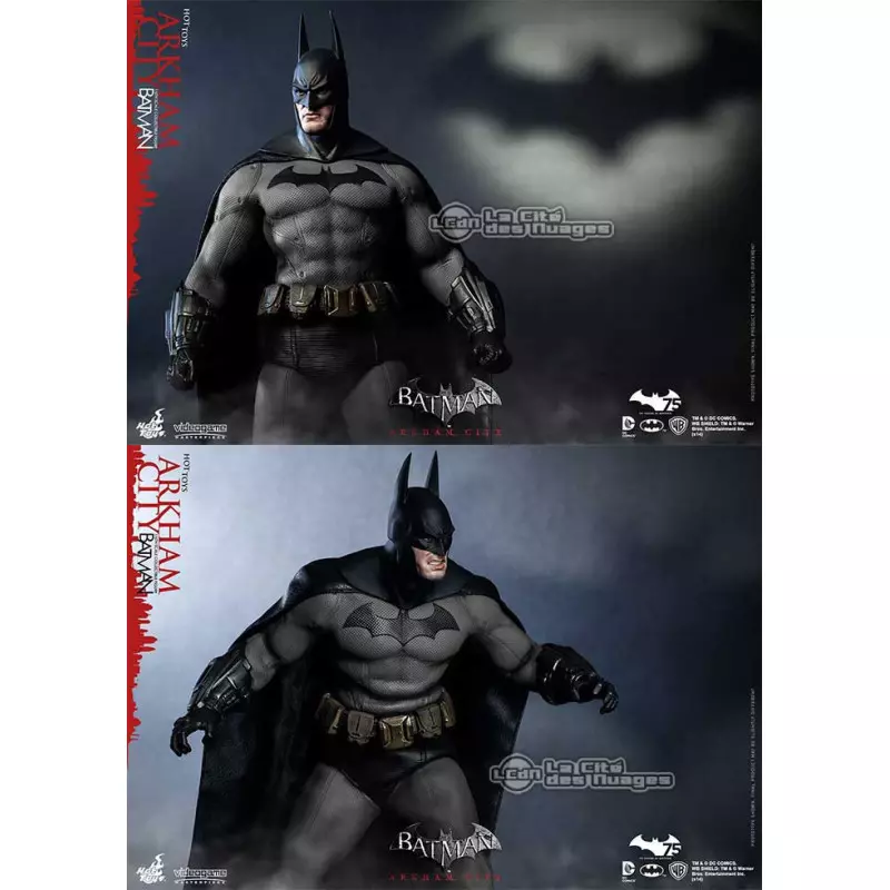 Batman Arkham City peaux de Batman