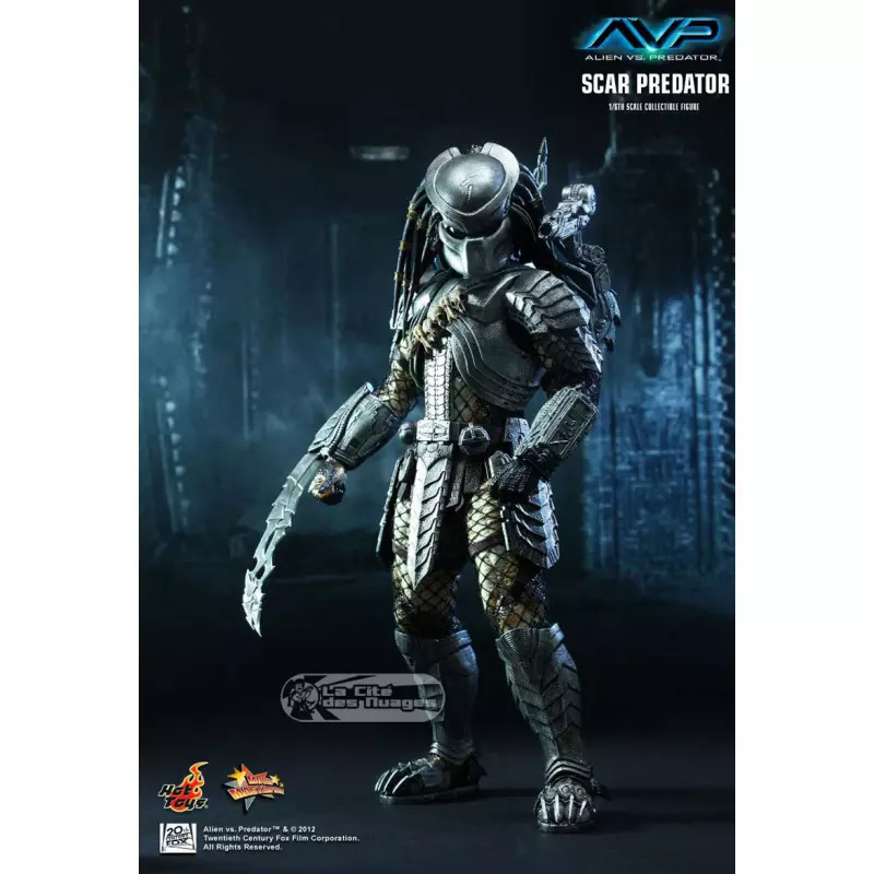 Hot Toys MMS190 Alien vs. Predator 1/6 Scar Predator Collectible