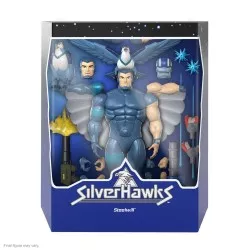 SilverHawks Action Figure...