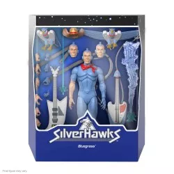 SilverHawks Action Figure...