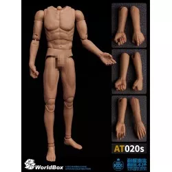 Male Body Action Figure 1/6...