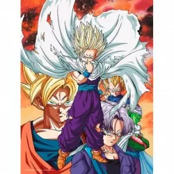 Dragon Ball Z poster cadre...