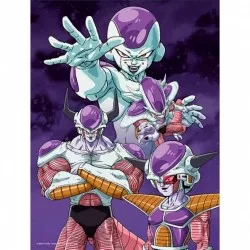 Dragon Ball Z poster cadre...