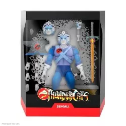 Thundercats Wave 5 Action...