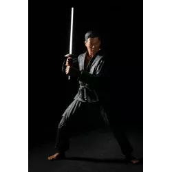 Les Tortues Ninja (Teenage Mutant Ninja Turtles) 1990 Pack de 2 Action Figurines Shadow Warriors 18cm