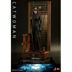 Hot Toys MMS627 The Dark Knight Trilogy Collectible Action Figurine 1/6 Catwoman 29cm