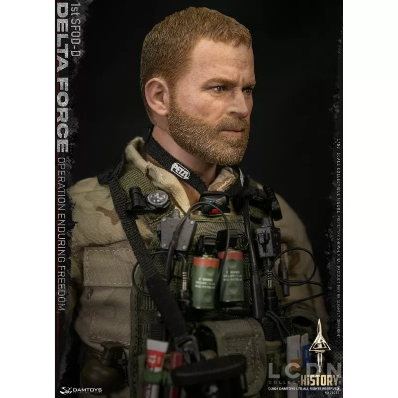 DELTA FORCE 1st SFOD-D &quot;Operation Enduring Freedom&quot; Collectible Action Figure 1/6 DAMTOYS 78091