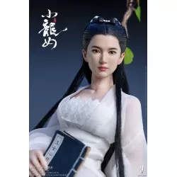 Fairy Sister Little Dragon Girl Collectible Action Figurine 1/6 VERYCOOL VCF-2059