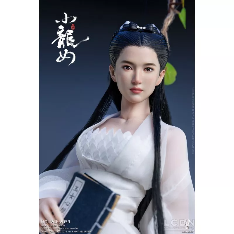 Fairy Sister Little Dragon Girl Collectible Action Figurine 1/6 VERYCOOL VCF-2059