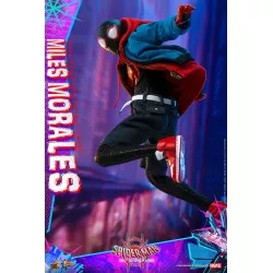 Hot Toys MMS567 Spider-Man Into the Spider-Verse Miles Morales 1/6 Collectible Figure 29cm (New)