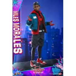 Hot Toys MMS567 Spider-Man Into the Spider-Verse Miles Morales 1/6 Collectible Figure 29cm (New)