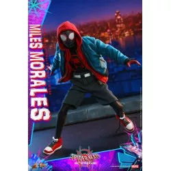 Hot Toys MMS567 Spider-Man Into the Spider-Verse Miles Morales 1/6 Collectible Figure 29cm (New)