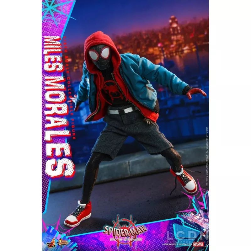 Hot Toys MMS567 Spider-Man Into the Spider-Verse Miles Morales 1/6 Collectible Figure 29cm (New)