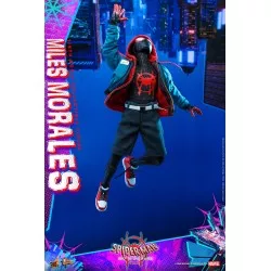 Hot Toys MMS567 Spider-Man Into the Spider-Verse Miles Morales 1/6 Collectible Figure 29cm (New)