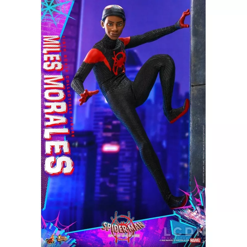 Hot Toys MMS567 Spider-Man Into the Spider-Verse Miles Morales 1/6 Collectible Figure 29cm (New)