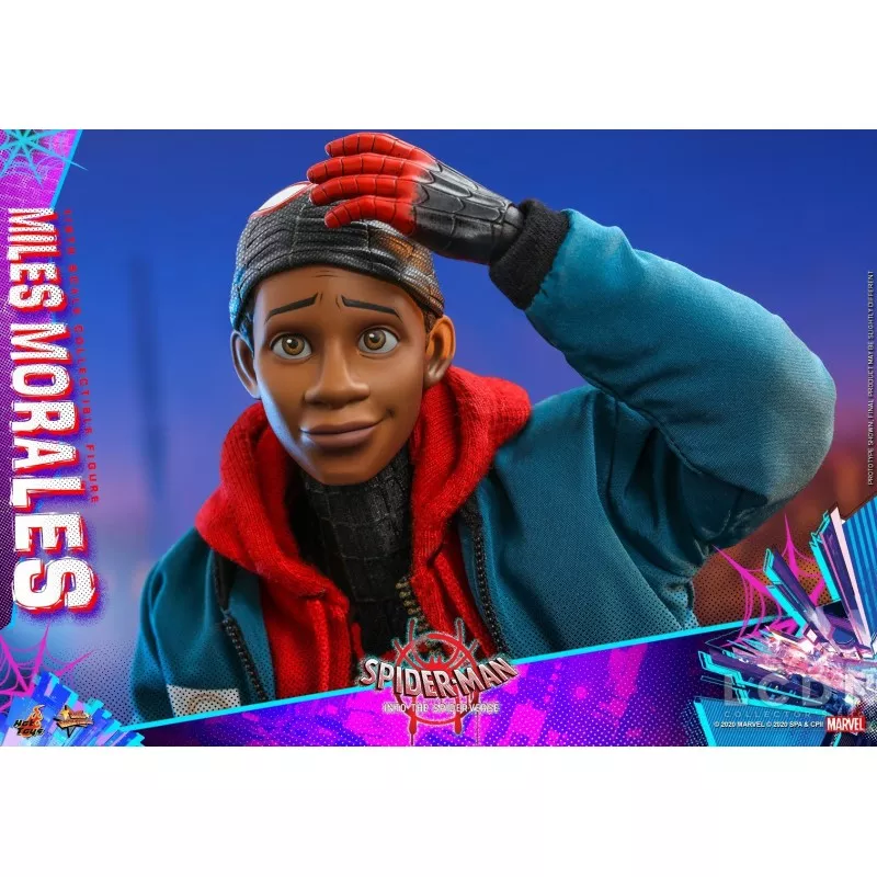 Hot Toys MMS567 Spider-Man Into the Spider-Verse Miles Morales 1/6 Collectible Figure 29cm (New)
