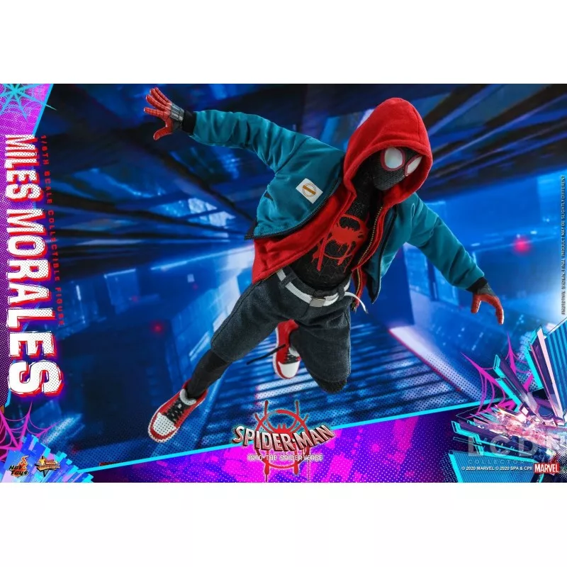 Hot Toys MMS567 Spider-Man Into the Spider-Verse Miles Morales 1/6 Collectible Figure 29cm (New)