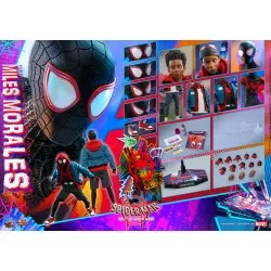 Hot Toys MMS567 Spider-Man Into the Spider-Verse Miles Morales 1/6 Collectible Figure 29cm (New)