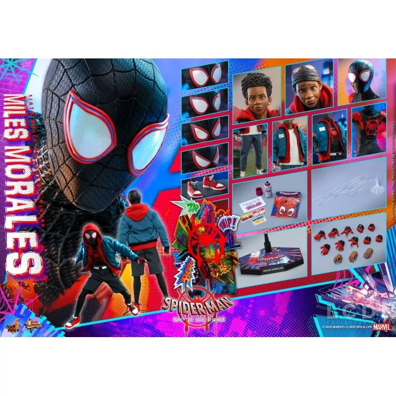 Hot Toys MMS567 Spider-Man Into the Spider-Verse Miles Morales 1/6 Collectible Figure 29cm (New)