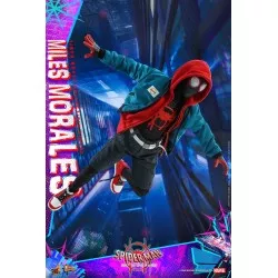 Hot Toys MMS567 Spider-Man Into the Spider-Verse Miles Morales 1/6 Collectible Figure 29cm (New)