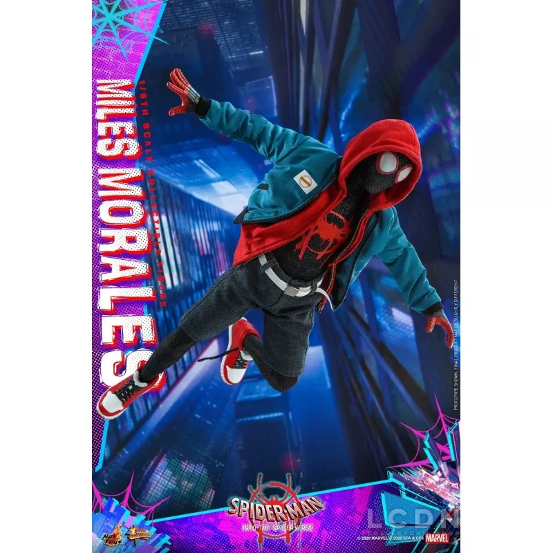 Hot Toys MMS567 Spider-Man Into the Spider-Verse Miles Morales 1/6 Collectible Figure 29cm (New)