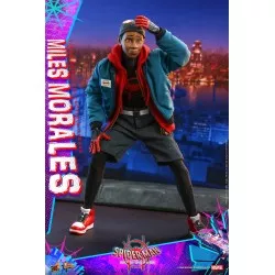 Hot Toys MMS567 Spider-Man Into the Spider-Verse Miles Morales 1/6 Collectible Figure 29cm (New)