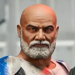Star Wars The Clone Wars Bust 1/6 Commander Captain Rex 15 cm