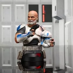 Star Wars The Clone Wars Bust 1/6 Commander Captain Rex 15 cm