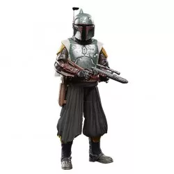 Star Wars The Mandalorian...