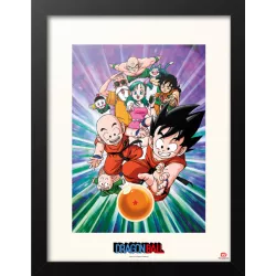 Dragon Ball Poster Encadré...