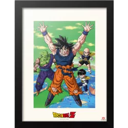 Dragon Ball Z Poster...