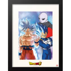 Dragon Ball Super Framed...